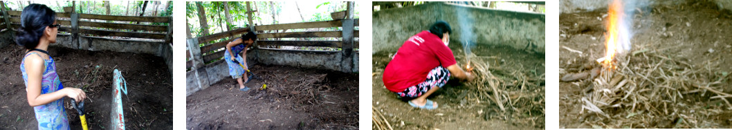 Images of tropical backyard piglets
        pen being cleaned up