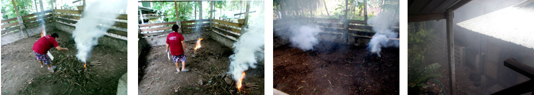 Images of the effect of burning dry
        organic matter left in a tropical backyard pig pen after removal
        of the piglet.
