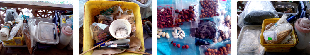 Images of seed table in tropical house
        before and after being tidied up