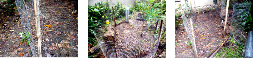 Imagews of tropical backyard patch
        prepared for planting