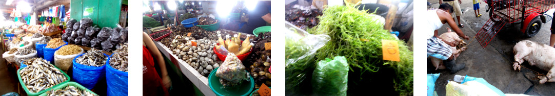 Images of a public market in
        Tagbilaran