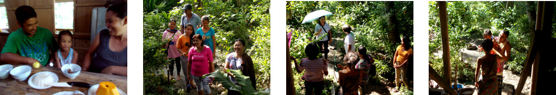 Images of Christmas visitors to
        tropical home