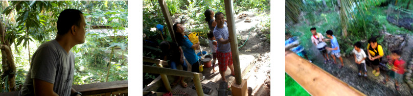 Images of Christmas visitors to tropical home