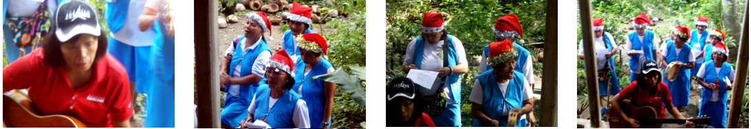 Images of carolers in tropical backyard