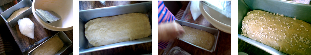 Images of Home Made Bread