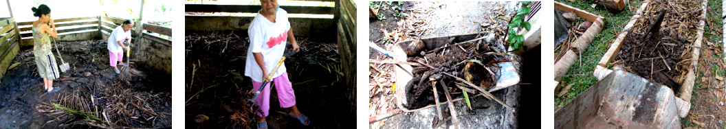 Images of tropical backyard pig pen being cleaned
              and refuse dumped on garden patches