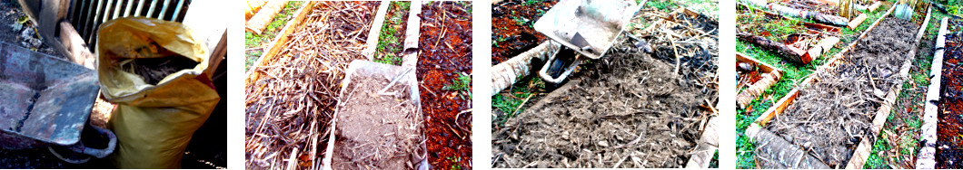 Images of compost from pig pen being
        put on tropical backyard garden plots