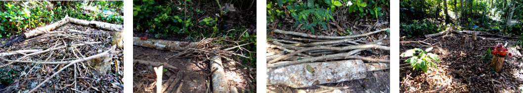 Images of debris from tree felling
        cleared up