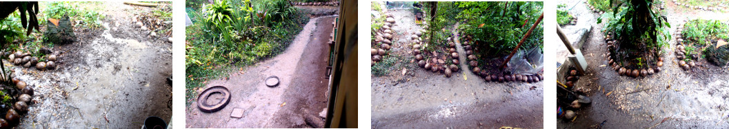 Images of drainage in tropical backyard in heavey rain