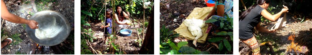 Images of tropical backyard ducks
        being plucked