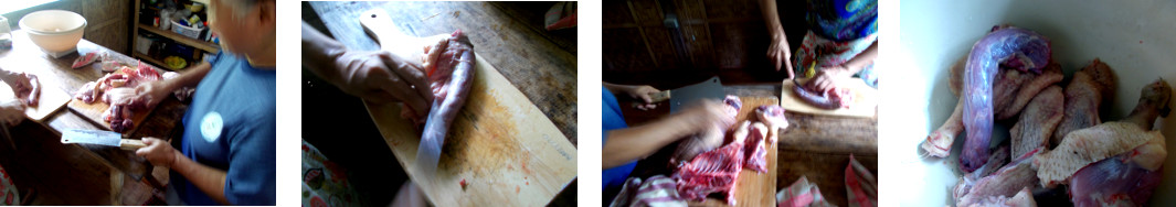 Images of tropical backyard duck being butchered