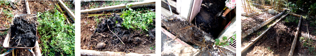Images of soil from tropical backyard boar pen applied
        on garden