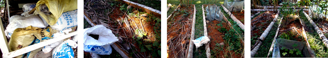 Images of sawdust being put on
        tropical backyard garden patches to mulch