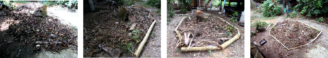 Images of tropical backyard garden
        patch getting a tidy border