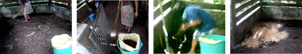 Images of empty tropical backyard pig
        pen being cleaned up