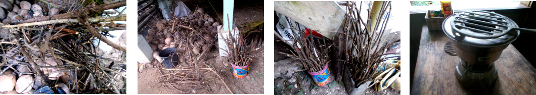 Imags of sticks collected for
          firewood in tropical home