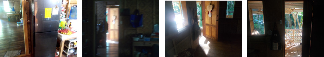 Images of evening sun in tropical house
