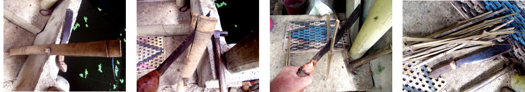 Images of bamboo being split for use
        in the garden