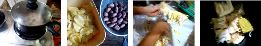 Images of Jack-Fruit being prepared for table
