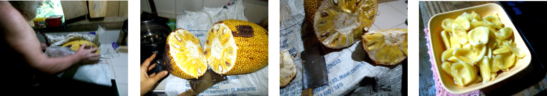 Images of Jack-Fruit being prepared for eating