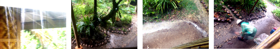Images of rain in tropocal backyard