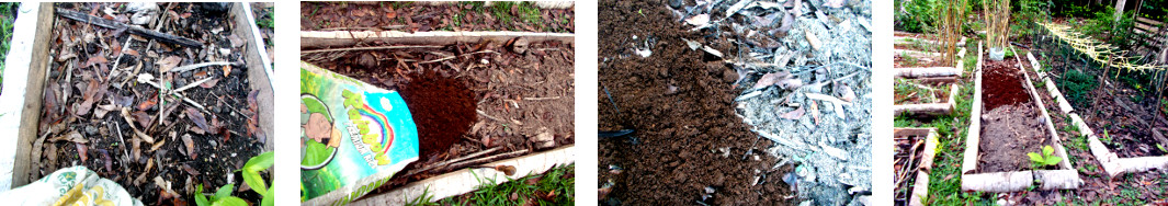 Images of soil dumped on composted area
        in tropical backyard