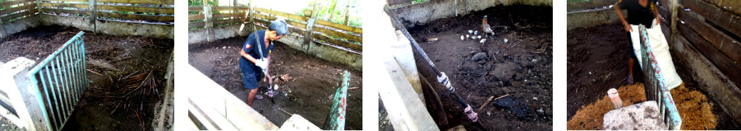 Images of tropical backyard pig pen
        being cleaned up