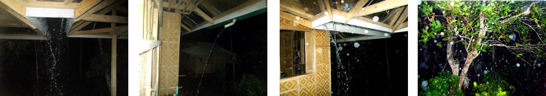 Images of night rain in tropical
        backyard