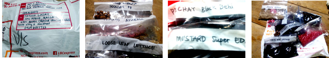 Images of seeds sent by family in Manila
