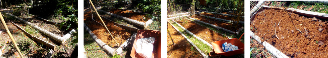 Images of tropical backyard garden
        patches composted with old sawdust