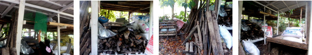 Images of tidy woodshed in tropical backyard