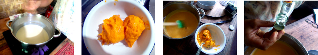 Images of woman making ice cream from
        backyard chesa fruit in tropical home