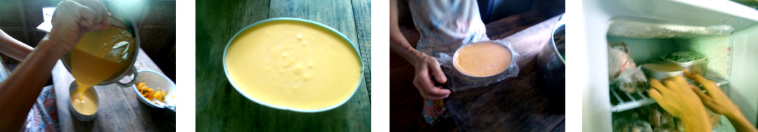 Images of woman making ice cream from
        chese fruit from garden