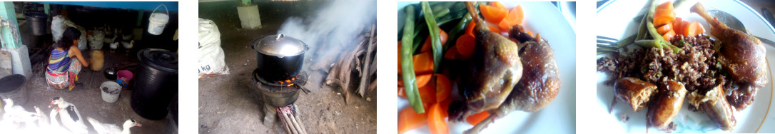 Images of a duck lunch in a tropical
        home