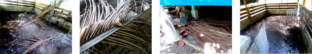 Images of tropical backyard pig pen
        being cleaned up