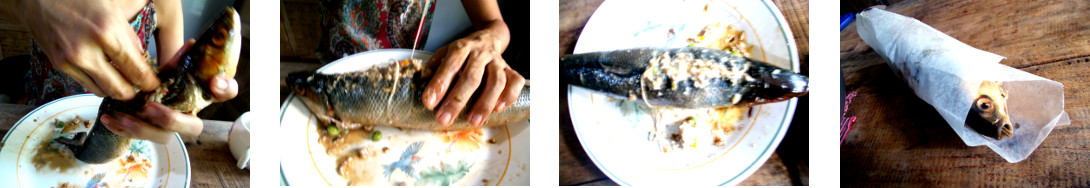 Images of making a stuffed fish in a tropical home