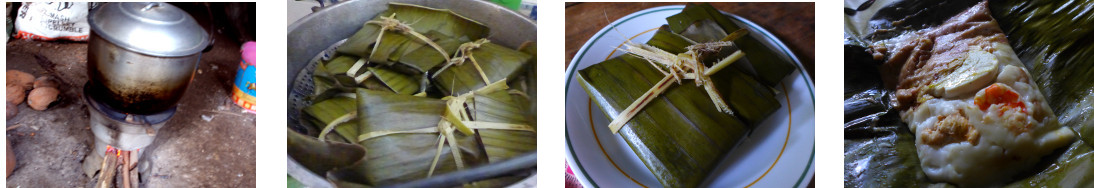 Images of home cooked tamales