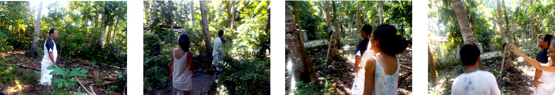 Images of people in tropical backyard
        discussing the felling of trees