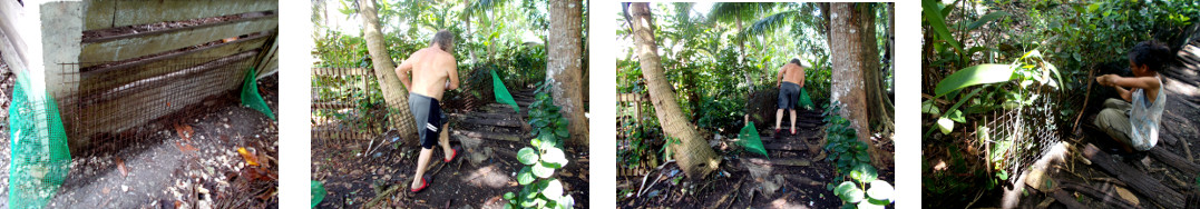 Images of tropical backyard boundary
        being reinforced with a small fence