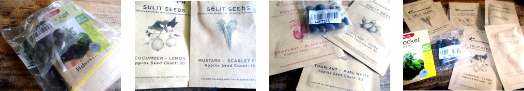 Images of seeds brought from Manila by
        a friend