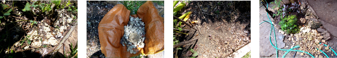 Images of stones removed from tropical
        backyard garden patch