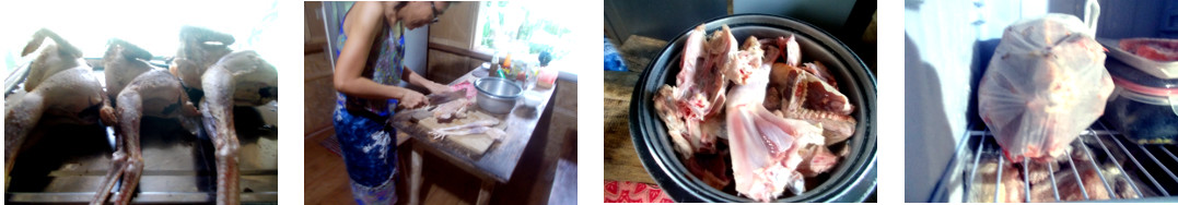 Images of tropical backyard chickens being cut up for
        the freezer