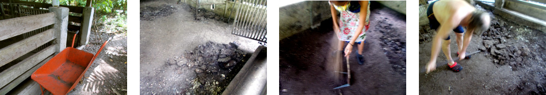 Images of tropical pig pen being
        cleaned up before reuse