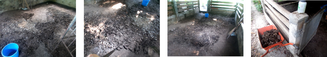 Images of soil in tropical backyard pig pen being broken
        up for removal