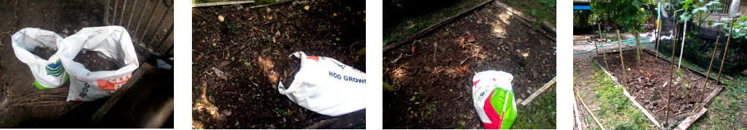 Images of tropical backyard garden patch composted
            and staked ready for planting and fencing