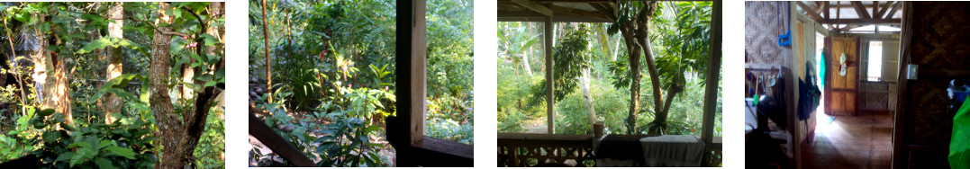 Images of a sunny late afternoon in a
        tropical home
