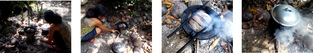 Images of woman cooking in tropical
        backyard