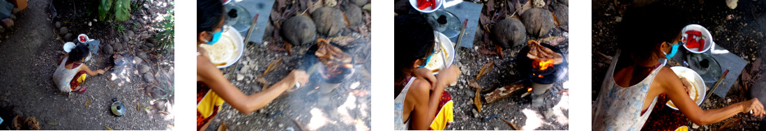 Images of cooking in tropical
        backyard