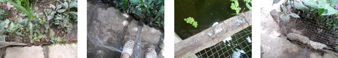 Images of small fence being repaired in tropical
            backyard