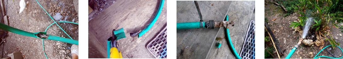 Images of tropical backyard hose being
        repaired